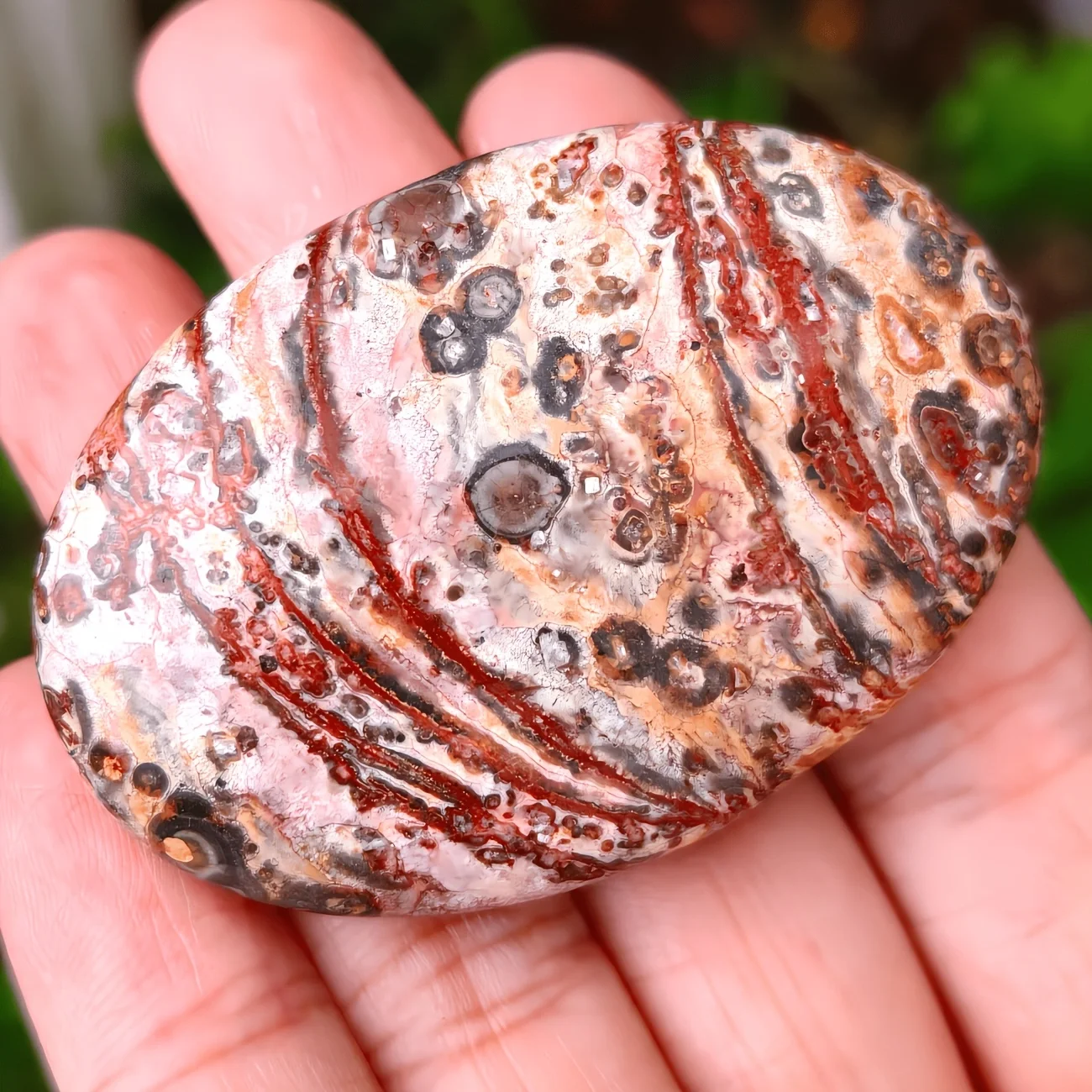 Leopard Skin Jasper, Natural Oval Gemstone, Hand-polished decorative stones with red leopard speckles, Smooth natural stones