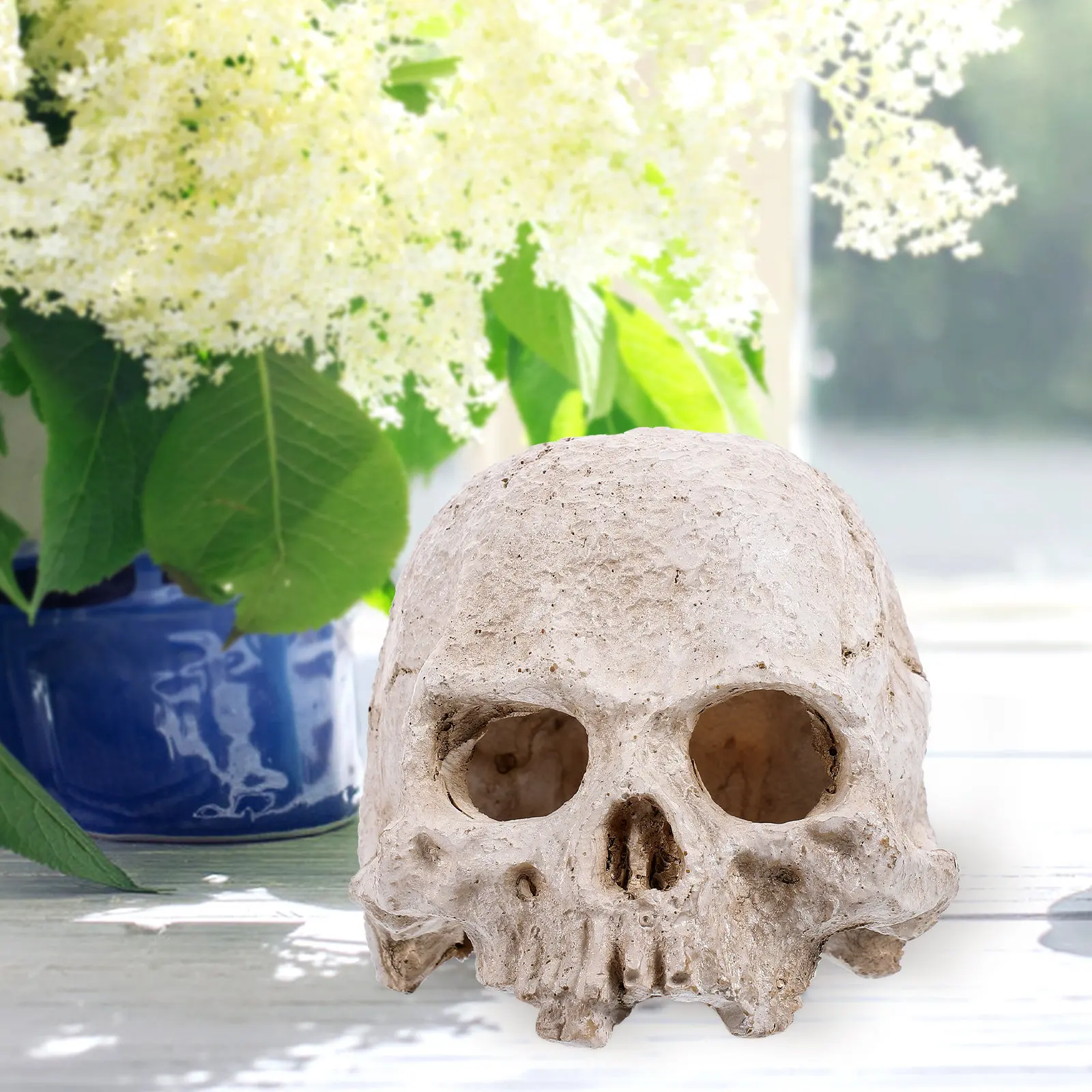 

Resin Realistic Human Skull Detailed Head for Halloween Decor Anatomy Teaching Educational Tool Human