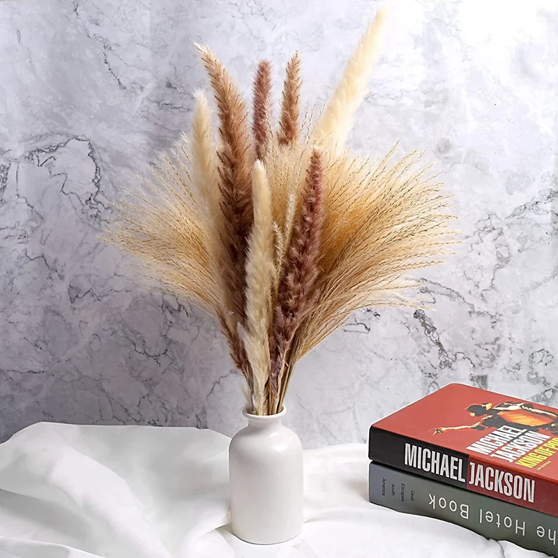 

60PCS 40-45cmNatural Dried Flowers Bouquet Pampas Grass Reed Bunny Tails Boho Home Decor Phragmites For Wedding Branches Fluffy