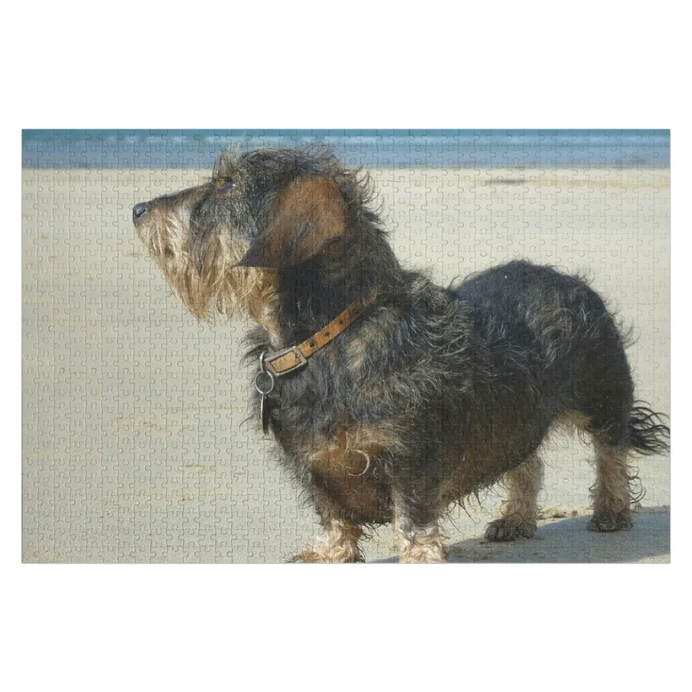 

Daisy soaking up the sun in Cornwall Jigsaw Puzzle With Personalized Photo Customizable Gift Wooden Boxes Puzzle