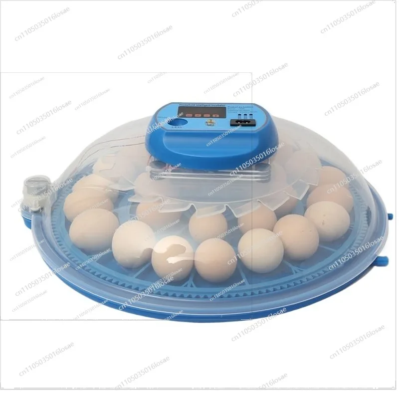 

Small Household Rutin Chicken Incubator Automatic Intelligent Incubator Mini Incubator