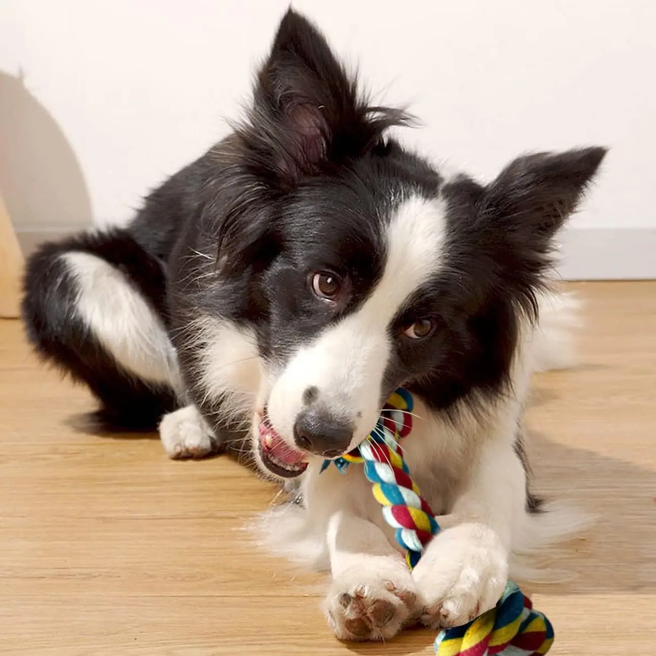 Thumbnail 4 - #74 Latest Dog Chew Toys Offers