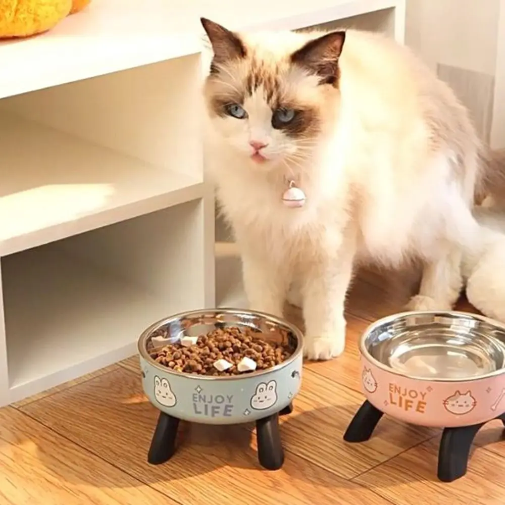 

Stainless Steel Cat High Footed Bowl Cartoon Printed Anti Slip High-Legged Pet Bowl Neck Protection with Stand