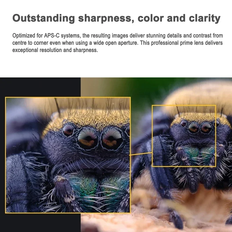 Venus Optics Laowa APO 65 مللي متر F2.8 2x Ultra Macro عدسة كاملة الإطار لسوني E FUJIFILM X Canon RF EF-M Nikon Z Leica L Mount Camera