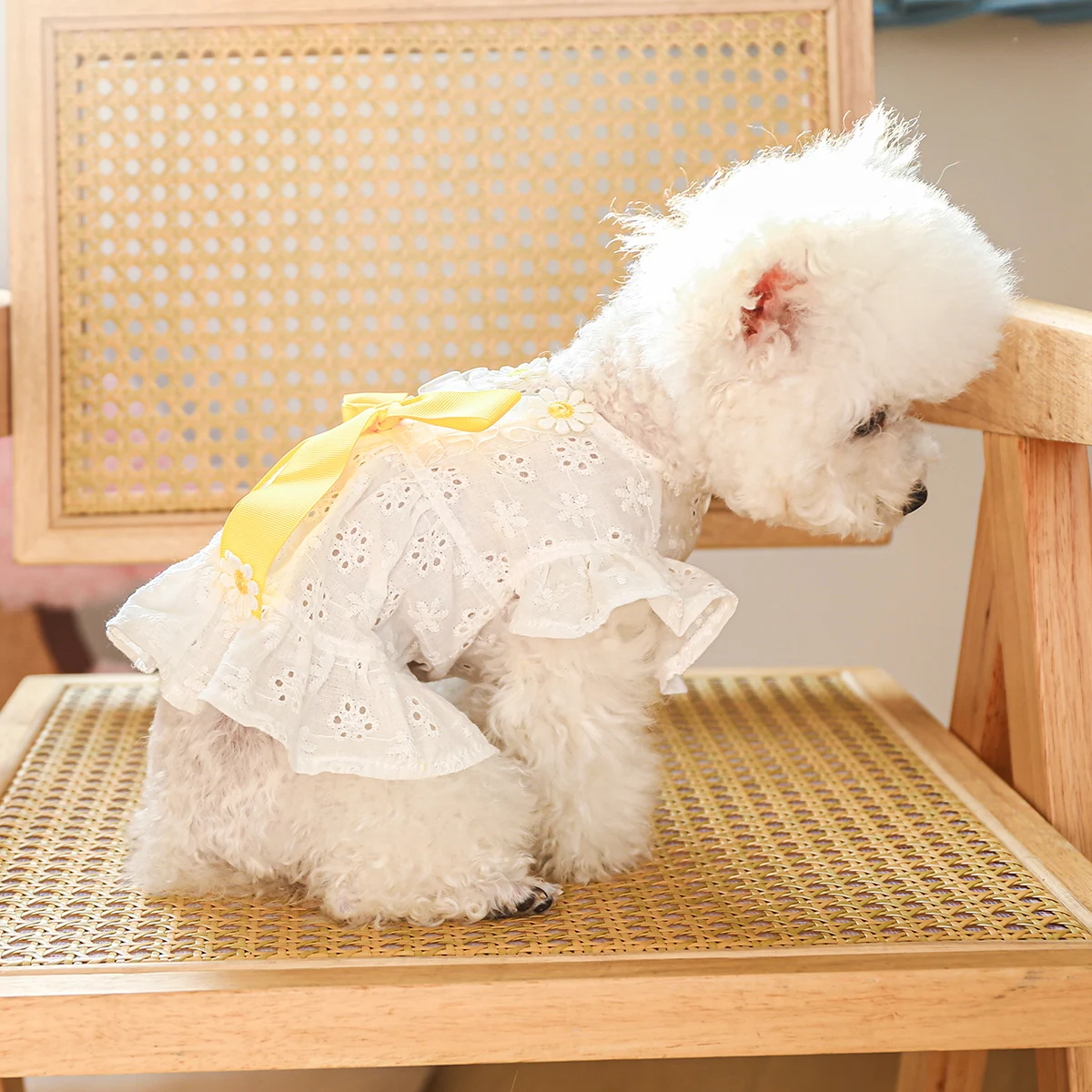 1PC Pet Clothing Dog Summer White Hollow Breathable Dress with Bow Knot Hollow out Suitable for Small and Medium sized Dogs