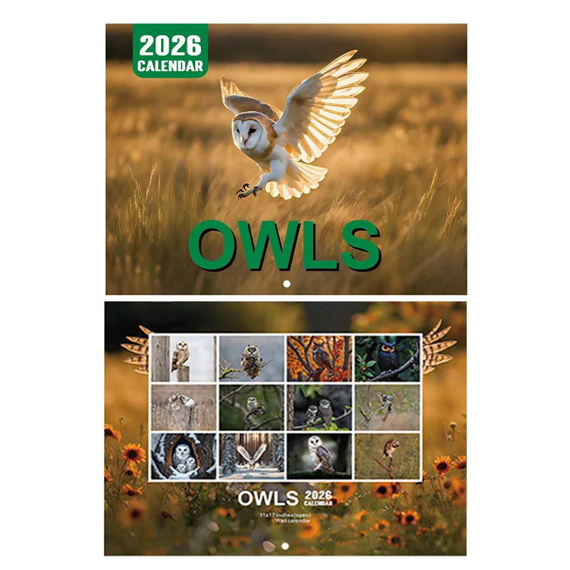 

2026 Calendar Funny Owls Theme Annual Monthly Planning Organizer Home Office Decor Calendar Halloween Christmas & New Year Gifts