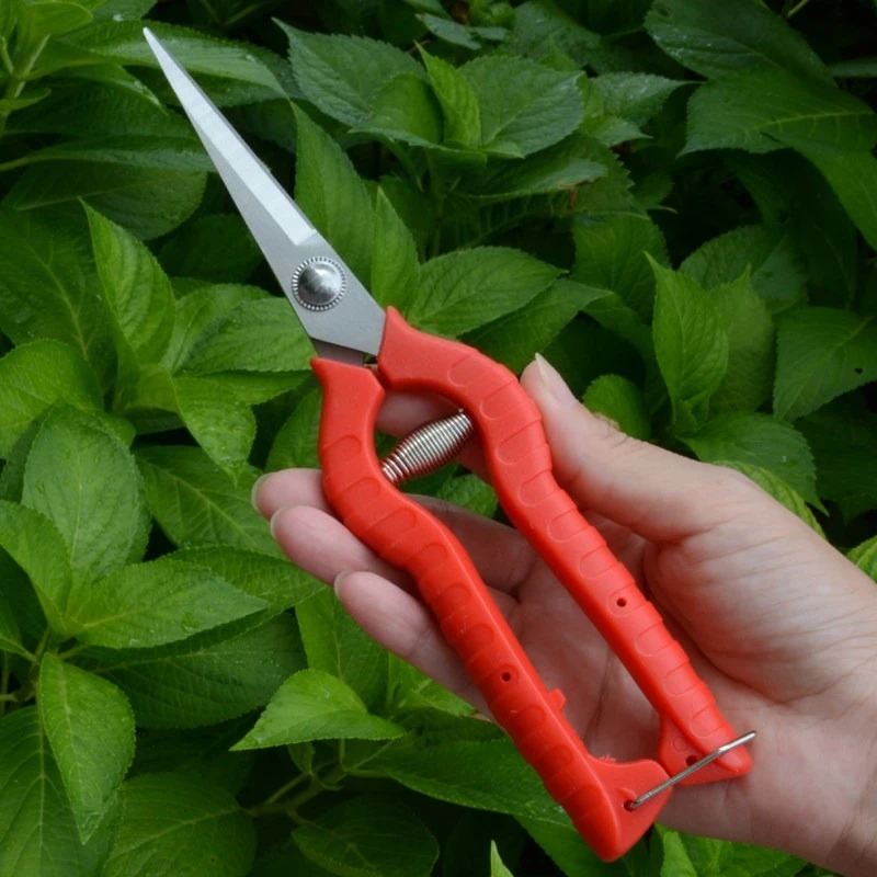 Stainless Steel Garden Scissors Multi-Purpose Pruning Shears for Fruit , Plant Trimming, Branch Cutting, Durable Garden Tool