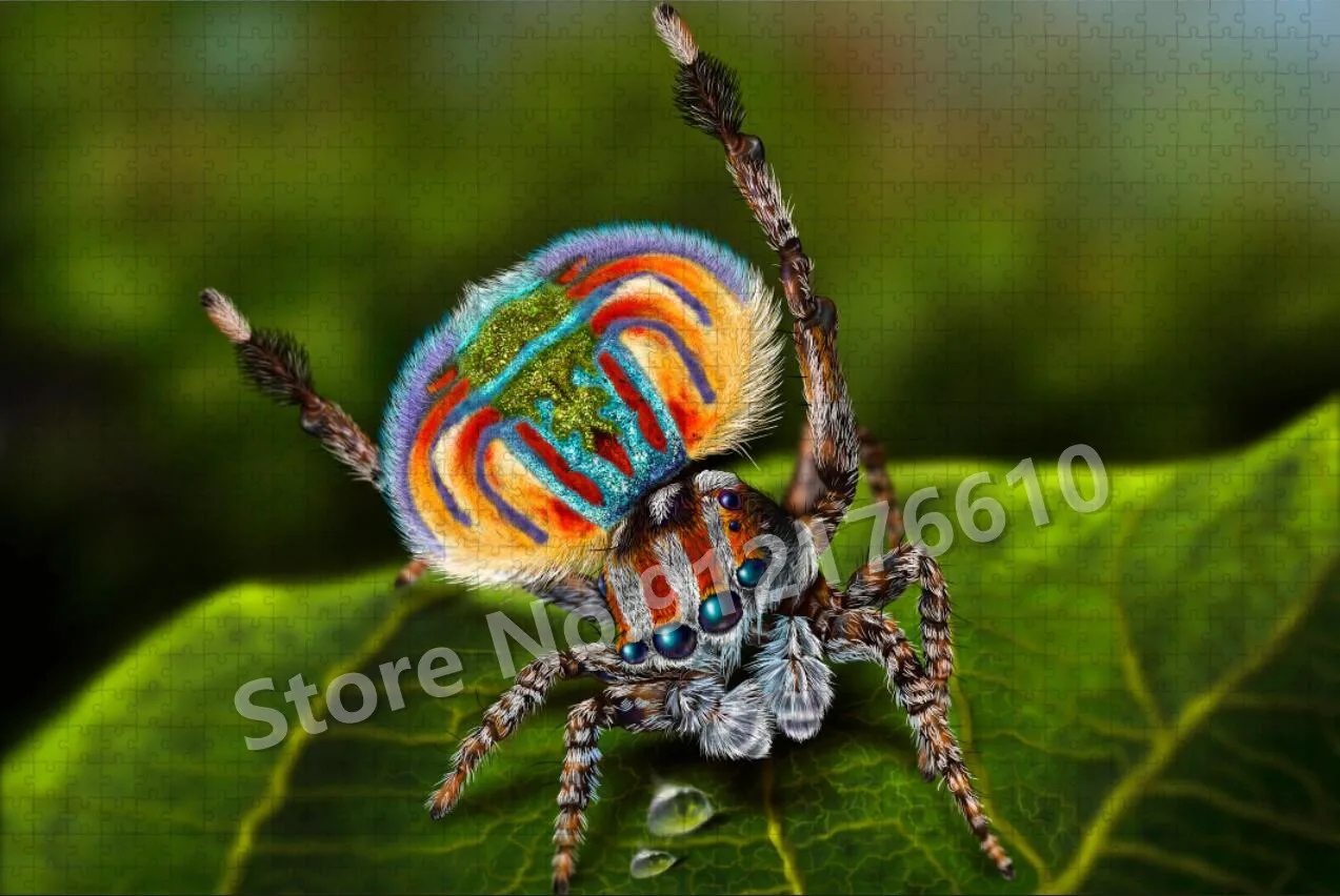 Venomous Spider Funny Insects Assembling Puzzle 300/500/1000 Pieces Jigsaw Puzzle for Adult Decompression Educational Toys Gifts