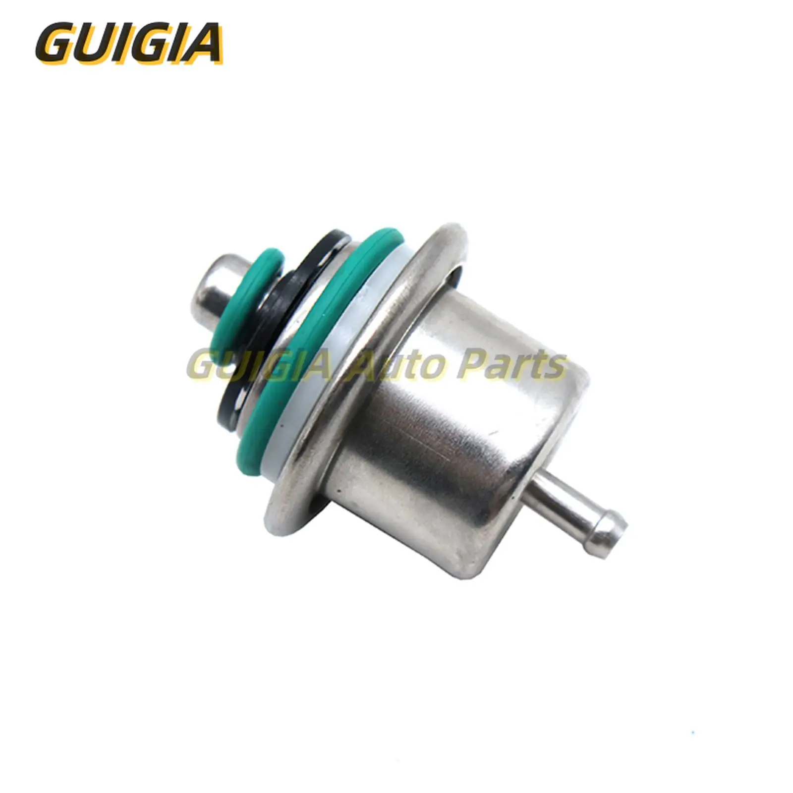 12460604 Fuel Press…