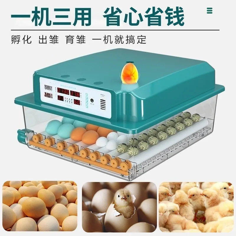 Smart Constant Temperature Egg Incubator Household Hatching Machine For Chicken Duck Goose Poultry Eggs