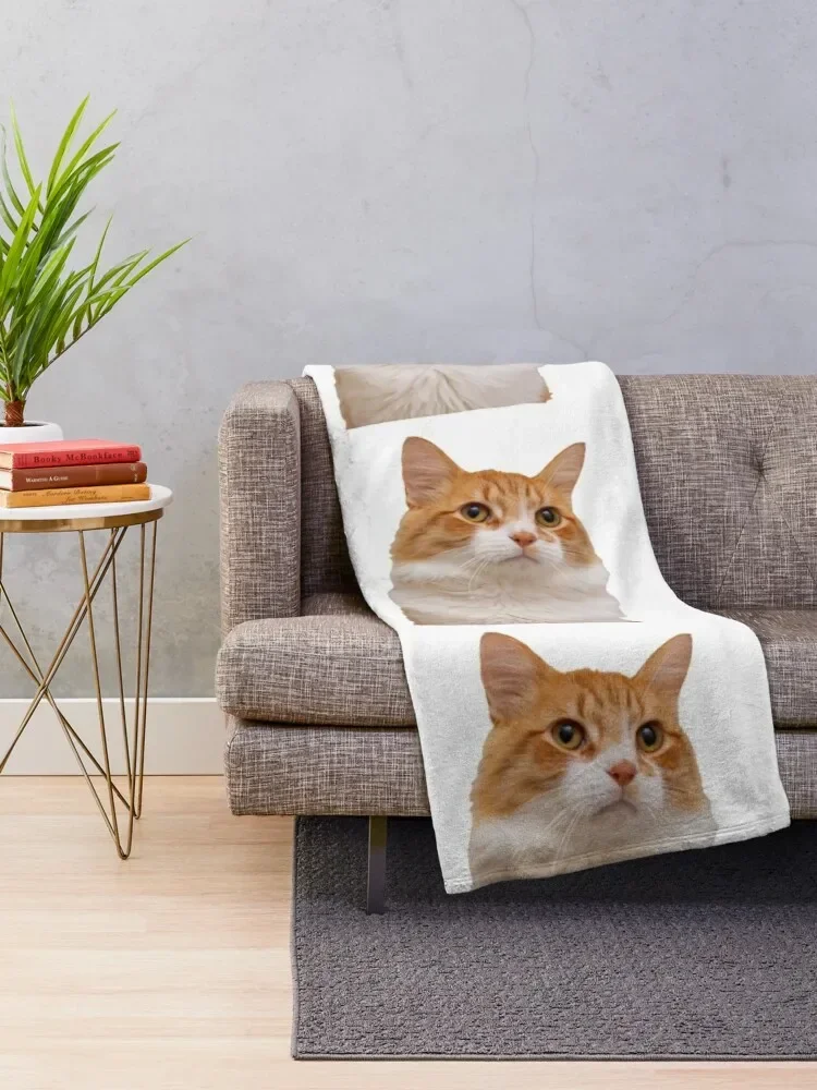 Handsome Ginger Cat Throw Blanket Soft Plush Plaid funny gift Personalized Gift Sleeping Bag Blankets