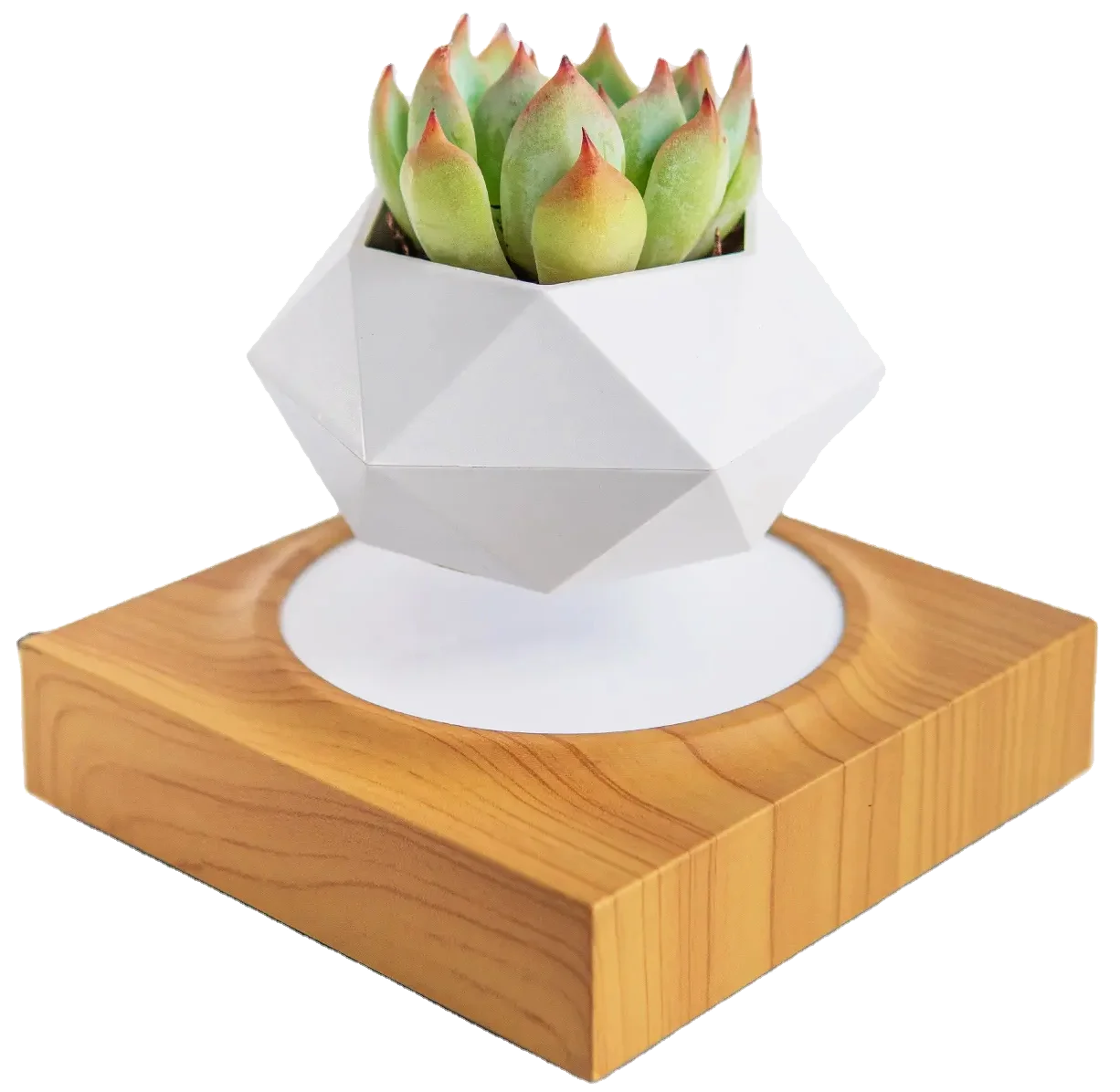 Plant Pot Houder Magnetische Zwevende Hout Ontwerp Roterende Drijvende Pot Planter Voor Thuis Decoratieve Pot