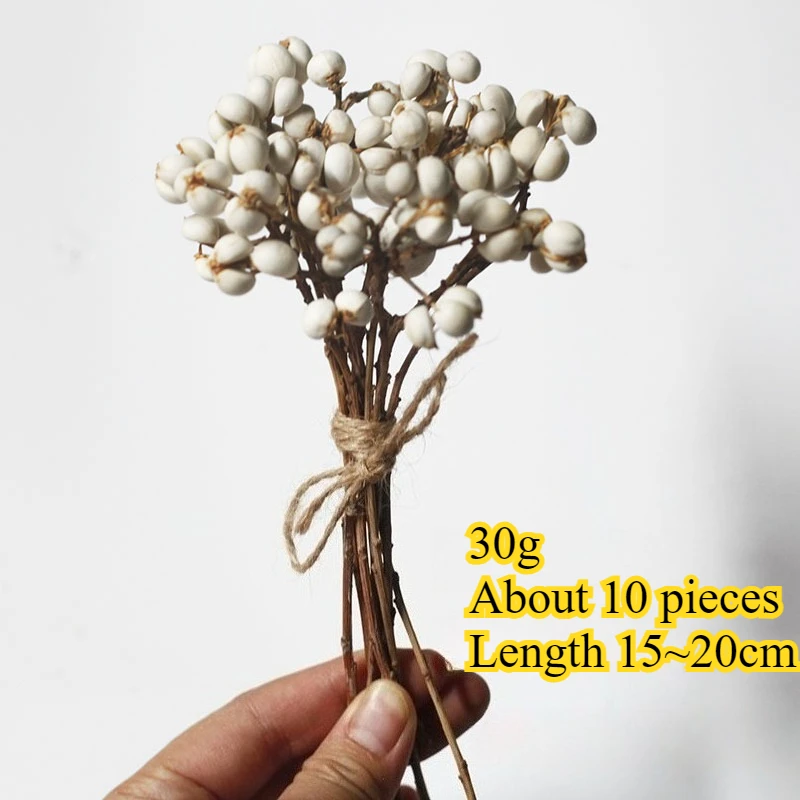 باقة زهور التوت الأبيض المجففة - فروع الفاكهة البيضاء المجففة الطبيعية، زهور ديكور المنزل البسيطة، زهور يدوية متعددة الاستخدامات #5