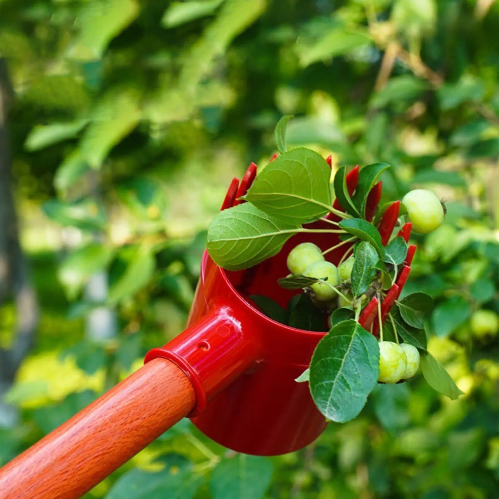1pc Portable Fruit Picker Easy  Use Practical Picking Device for Farm Park Efficient Picking Tool Portable Premium fruit picker