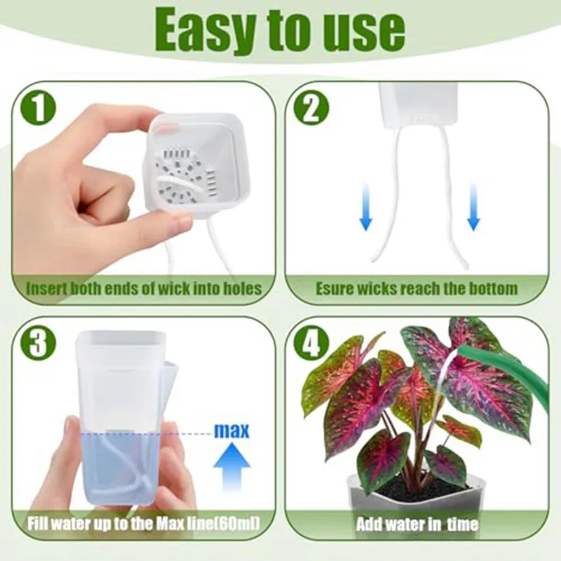 2025 Trend For Indoor Plants 10Pack 2.5