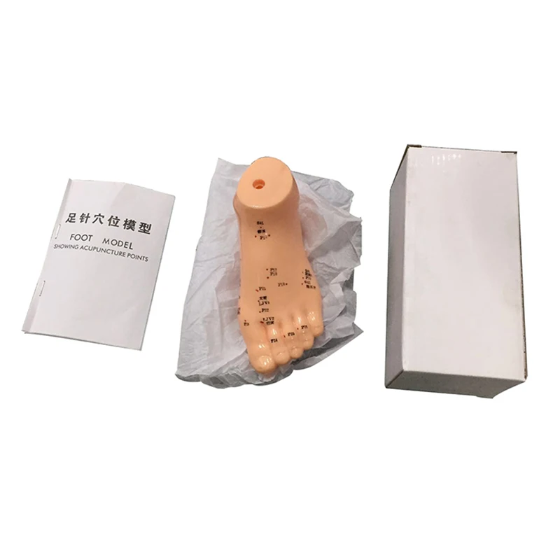 3D 手足耳鍼モデル - TCM、鍼灸師向けの詳細な経絡システムと非毒性 PVC 解剖学教育ツール