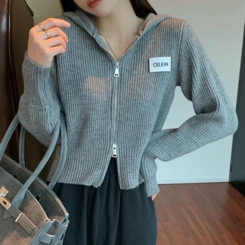 Hooded Full Zip Up Sweatshirt for Women Spring and Autumn Grey with Zipper Hoodies Knitting Long Woman Tops Sleeve 2000s Novelty