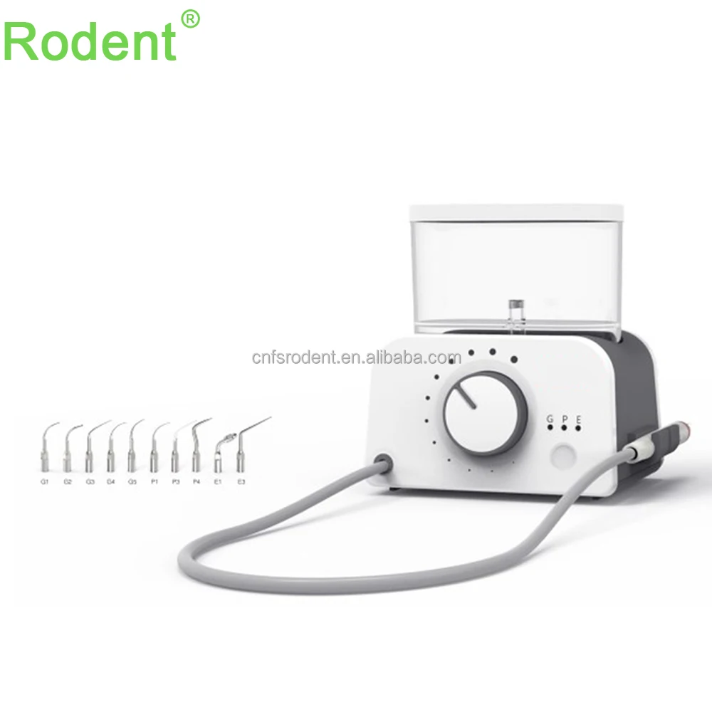 

Rodent TYPE 2 Electric Dental Water Scaler Dental Ultrasonic Scaler with ISO Certification Plastic Material