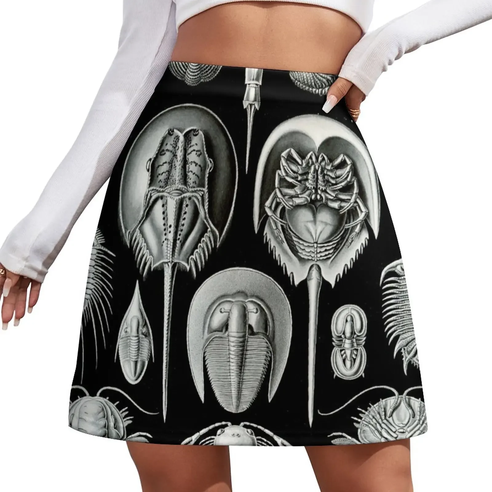 

Haeckel Trilobite Mini Skirt girls skirt Female clothing Women's clothing Mini Skirt