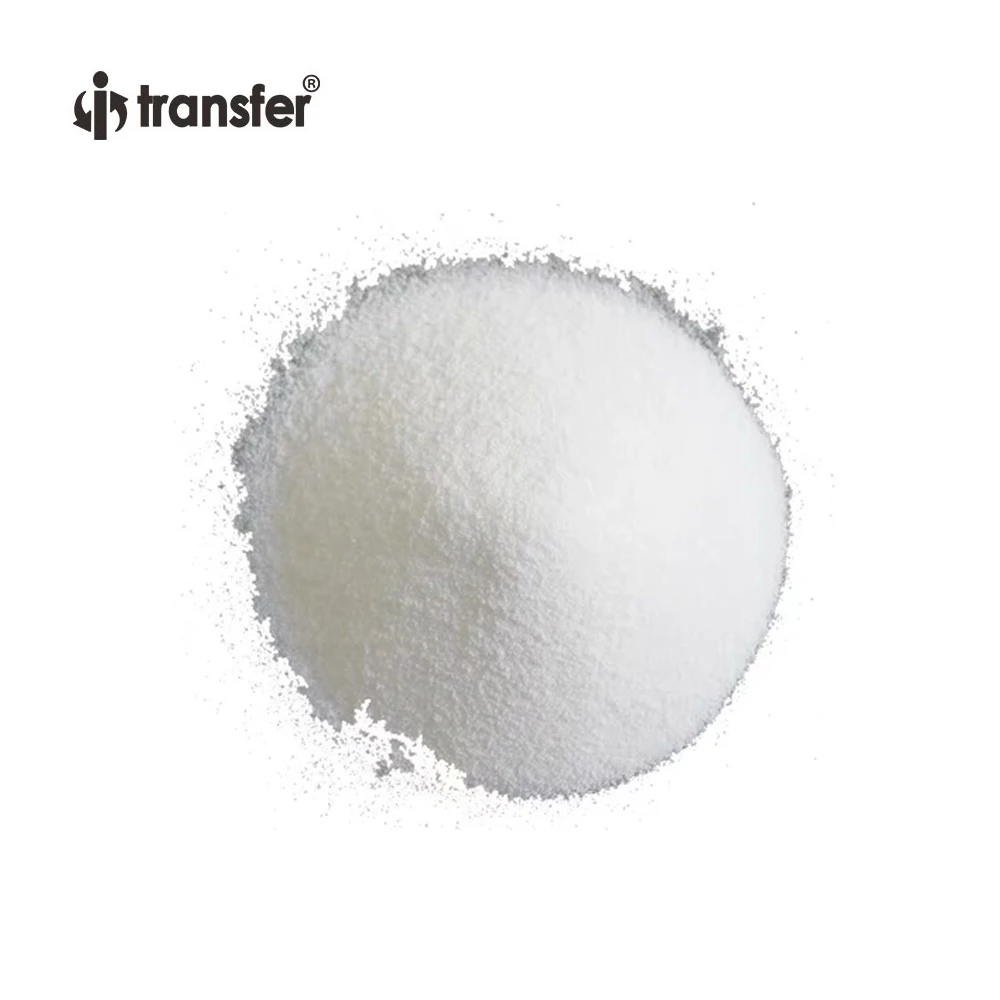 500g High Quality Soft Elastic DTF Printer Hot Melt Powder Printing DTF PET Film Heat Transfer White Adhesive Polyamide Powder