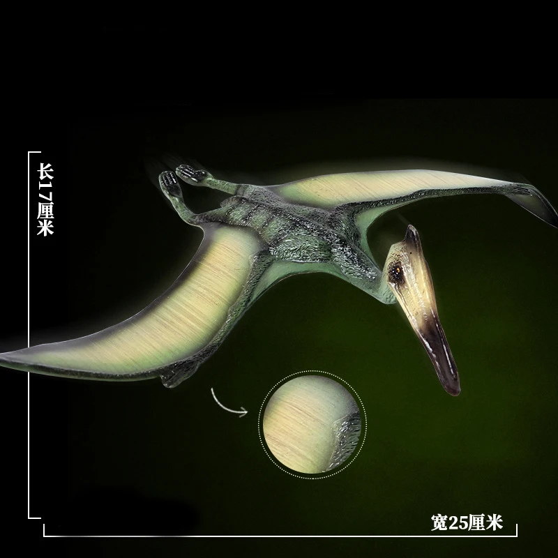 Juguetes de simulación de dinosaurio Jurásico para niños, modelo de dinosaurio de pterosauro, dios del viento sólido, adornos, juguetes educativos tempranos