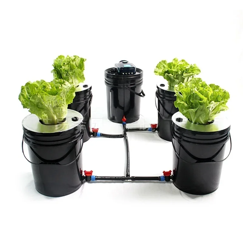 

Black Hydroponic Kit Tomato/Green Leaf Garden Supplies