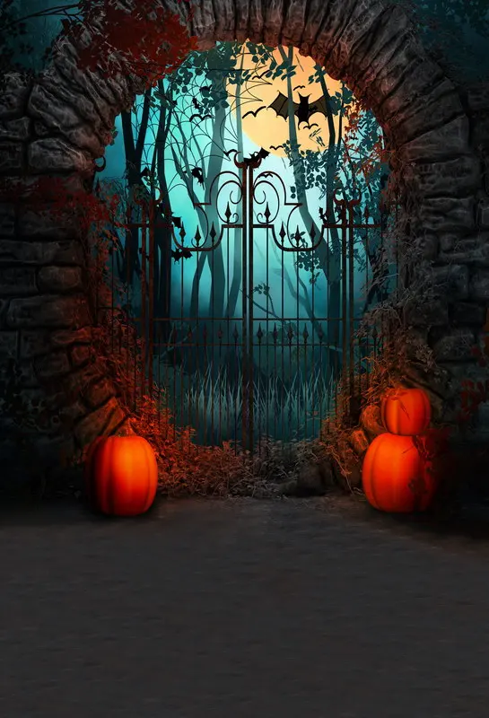 Fondo de bruja al aire libre para niños, decoración de fiesta de Halloween, fondos de fotografía para estudio fotográfico, accesorios de pancarta