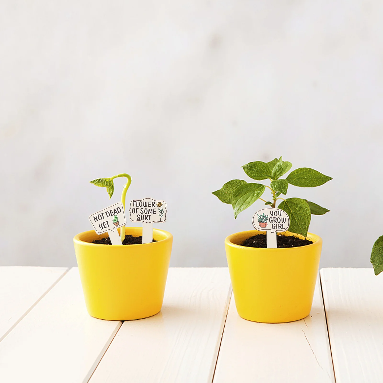 

15Pcs Wooden Garden Labels Reusable Plant Markers with Stakes for Flowers Herbs Vegetables Cute Garden Signs for Outdoor Indoor