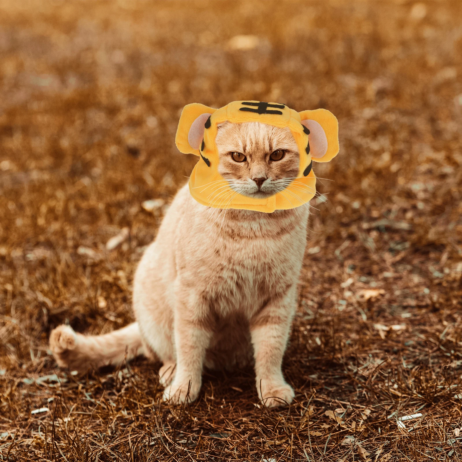 

Pet Hat Lovely Headdress for Cat Small Animals Custom Costumes Party Accessory Portable Puppy Photo Prop Christmas Halloween
