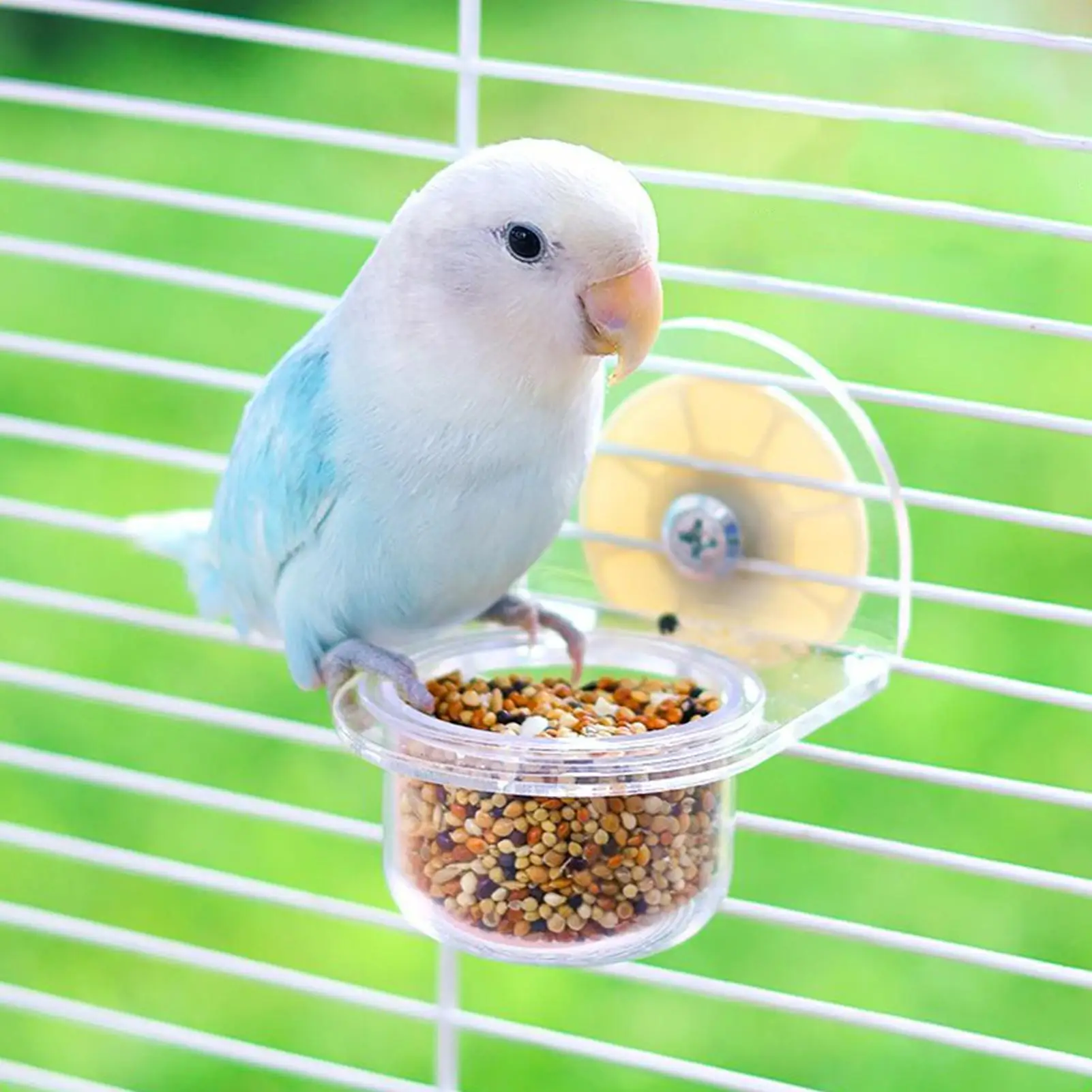 

Bird Dishes for Cage Detachable Bird Cups for Cages Container Feeder Dispenser Transparent for Pet Supplies Water Squirrel