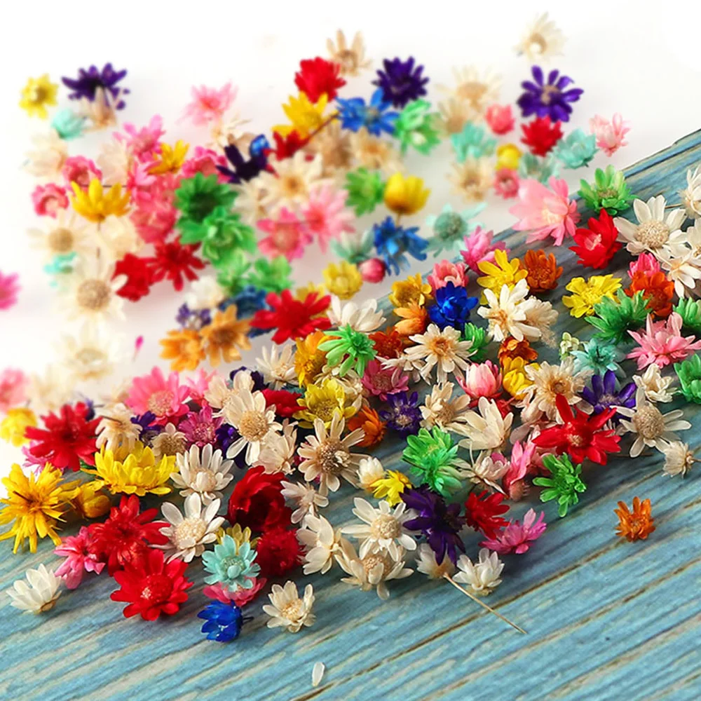 Multicolor Mini Dried Flowers Epoxy Resin DIY Art Craft Candle Jewellery Making Glass Cover Ball Filler Dry Flowers 100Pcs/Bag