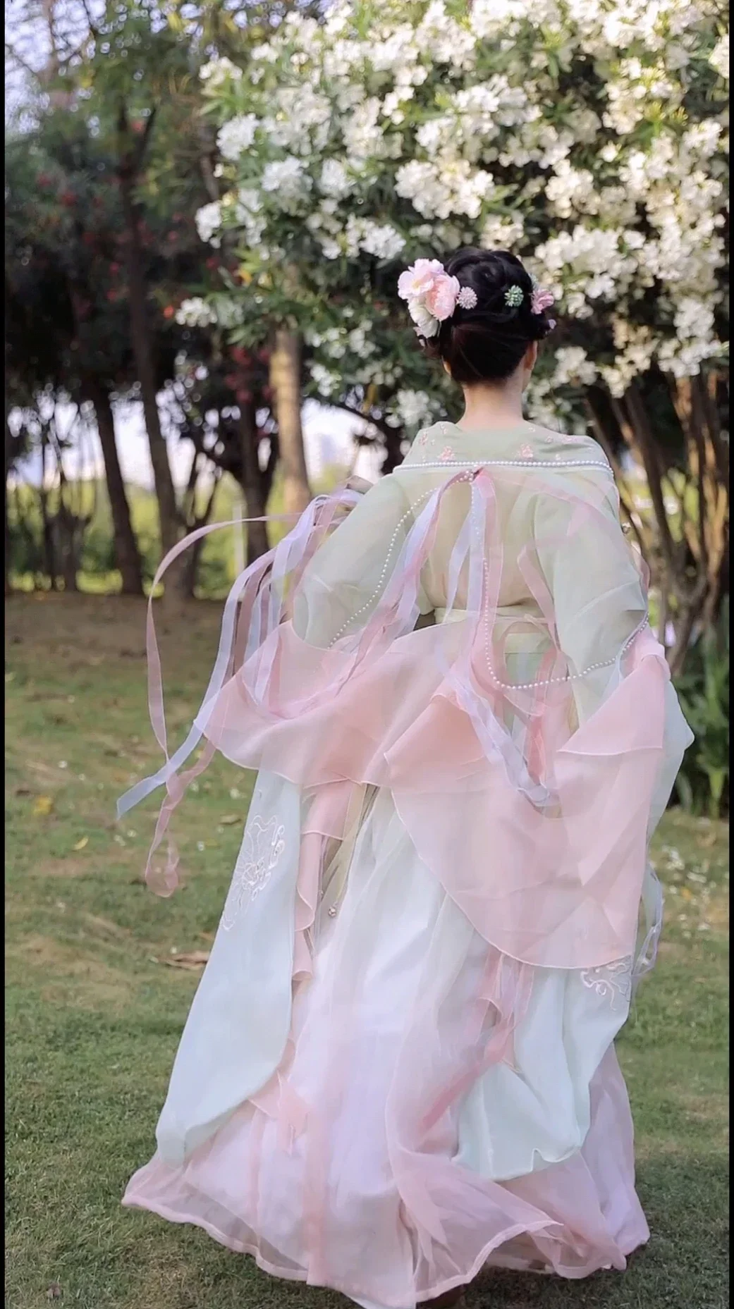 

Fairy Han Fu Chinese Hanfu Dress Women's Embroidery Large Sleeve Shirt Hanfu Set Carnival Fairy Cosplay Dress Hanfu Dance Dress