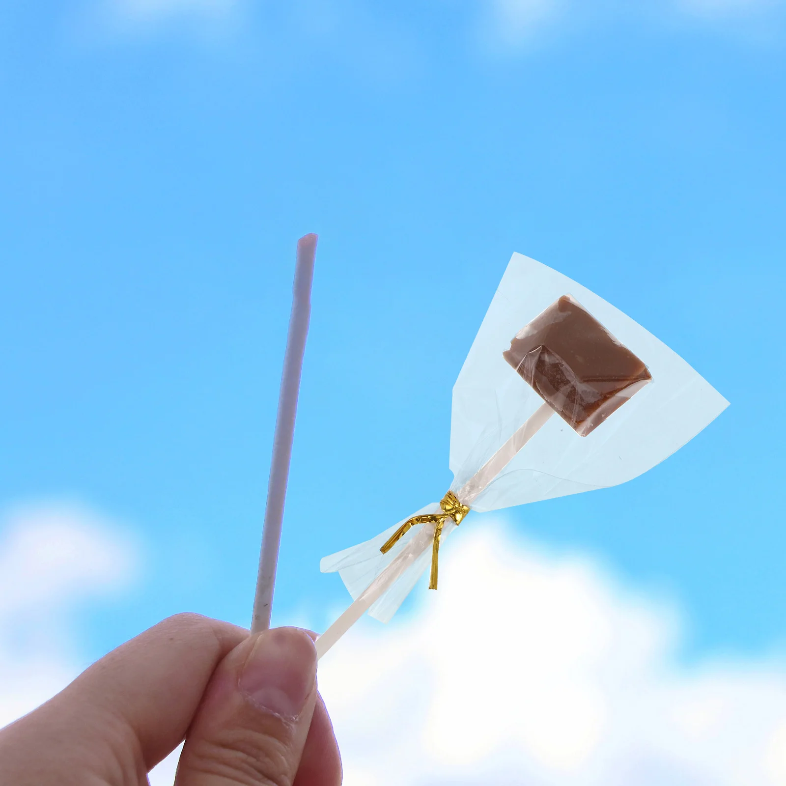 

1Set Cake Pop Sticks: Food-Safe Paper Lollipop Sticks For Hard Candy Chocolate Decorating Birthday Party Favors Treats