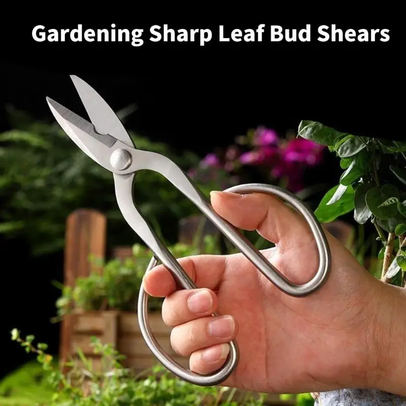 Professional Steel Garden Pruning Shears For Foliage Trimming And Bonsai Care 