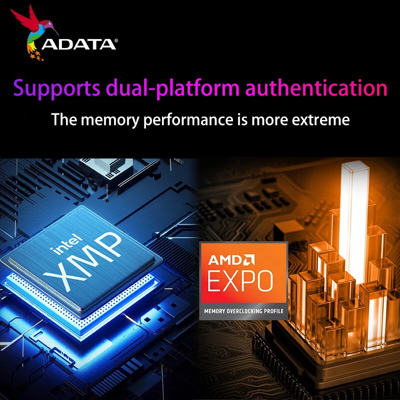 ADATA DDR5 RAM with RGB Desktop Memory 6000MHz 6400MHz 16GB 24GB 32GB XPG DDR5 D300G Memory Module with Heatsink