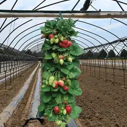 Multi-Function Hanging Tomato Grow Bag Upside Down Planter Strawberry Vegetable Flower Plant Grow Bags Garden Plant Pot