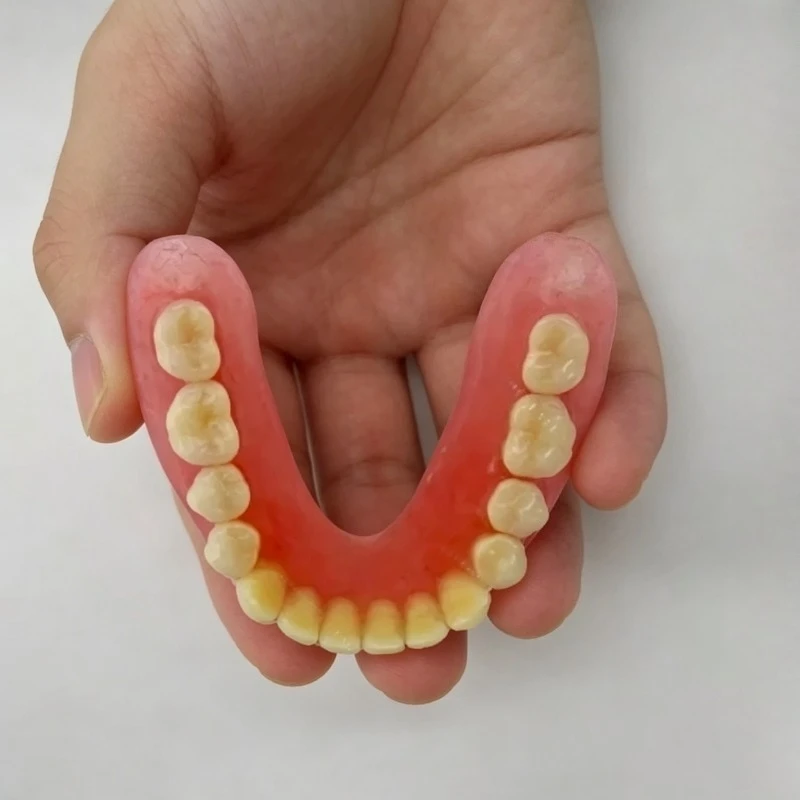 Finished Full Mouth Elderly Tooth Model Display Product Removable Dentures