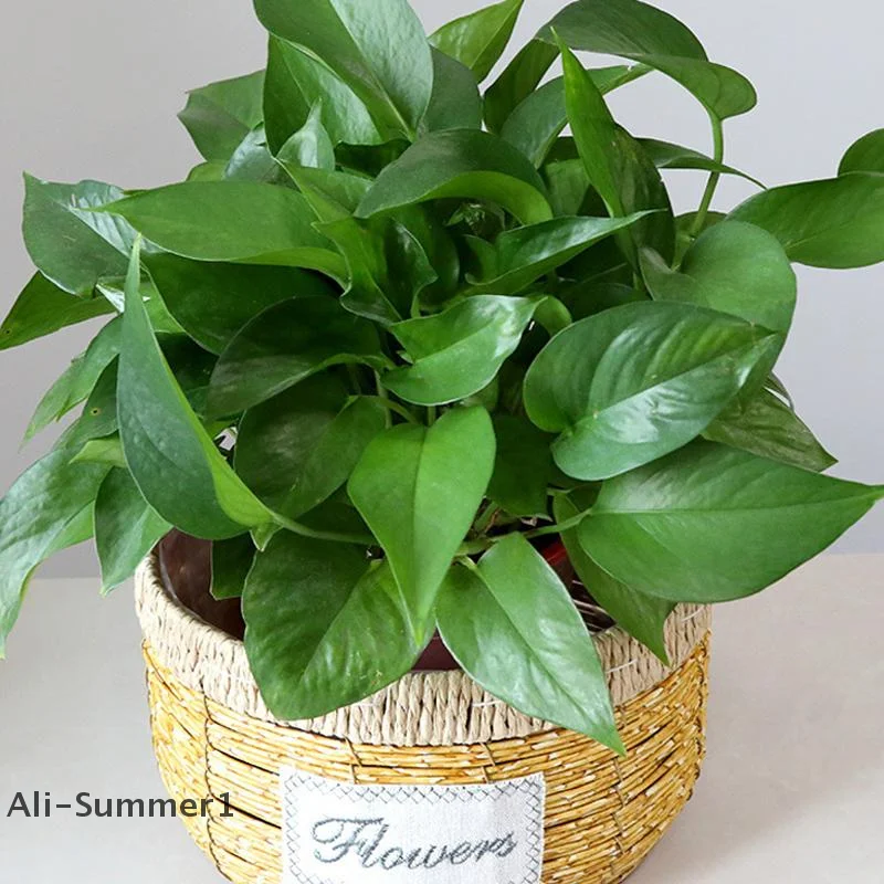 【E】إناء زهور منسوج إبداعي سلة نباتية متعددة الوظائف تقليد أصيص زهور الروطان سلة زهور منسوجة ديكور المنزل #5