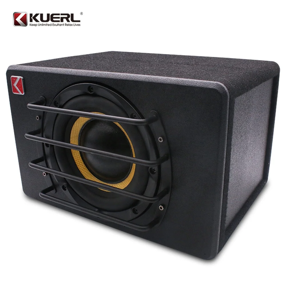 Direct Manufacturer New Style 12V Car Active Subwoofer 8 Inch Double Coil Car Audio Amplifier Subwoofer With cable bag