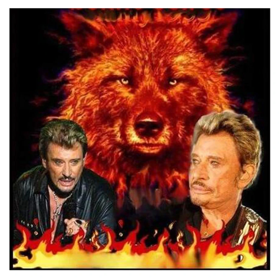 Johnny Hallyday Portrait DIY 5D Diamond Painting Stitch Kit Full Square Drill Wolf Man Diamond Embroidery Mosaic Home Decor