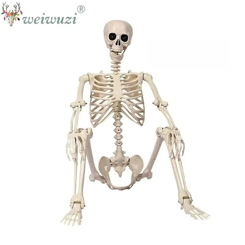 Halloween Costume Props Posable Human Skeleton Cosplay Costume for Haunted House Masquerade Spooky Holiday Party Scene Decor