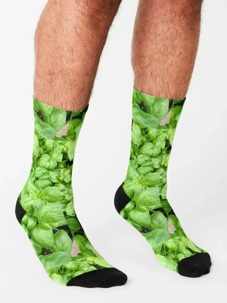 So much Basil... So little Thyme... Socks Children's japanese fashion Heating sock custom Socks Women's Men's