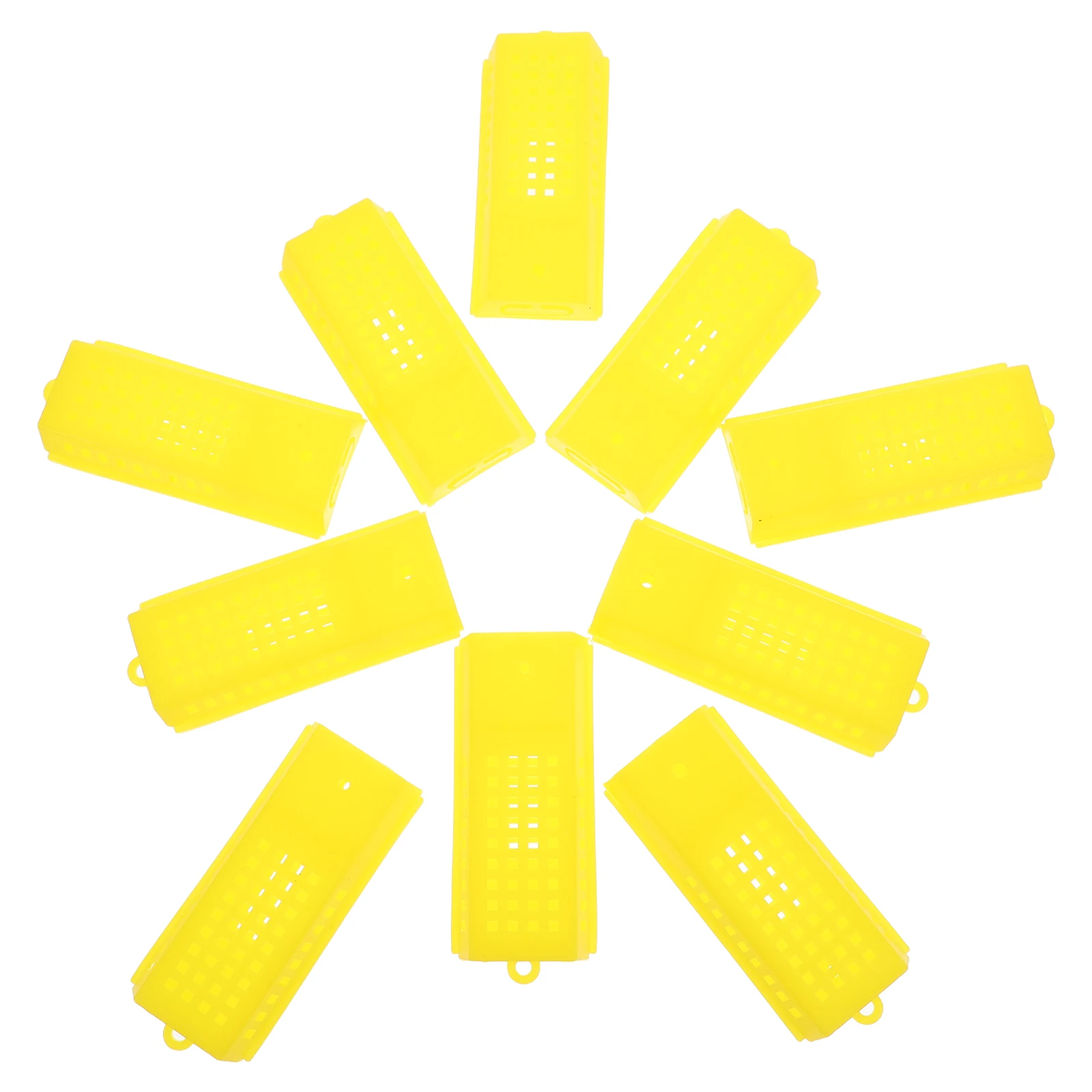

10 Pcs Beehive Cells Cups Breeding Cage Suite Rear Tools Beekeeping Equipment Plastic Holders Incubation Bases Cover