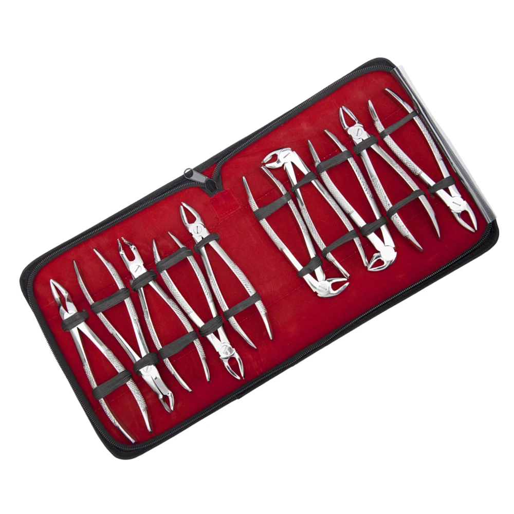 10-teiliges Set Zahnextraktionszangen mit Werkzeugset, Zahnärztliches Chirurgieinstrument für Kliniken, Zangen für Erwachsene/Kinder – Detail 2