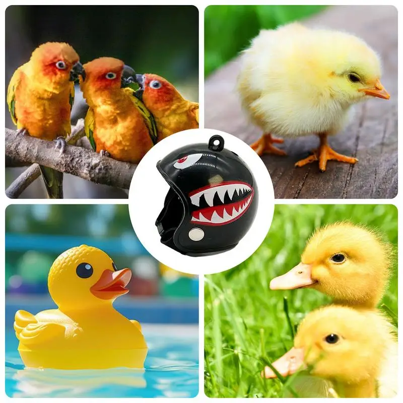 Cappelli di pollo Mini gallina pollo proteggere cappelli portatile Pet elmetto sicurezza cappelli per uccelli protezione della testa per pappagalli anatre uccelli
