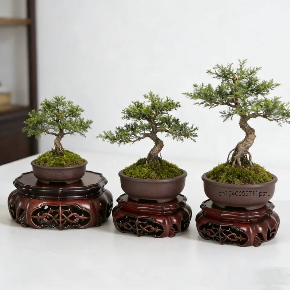 Premium Rosewood Display Rack | Ideal Gift for Collectors | Fits Figurines/Bonsai/Tea Sets | Elegant Home Decor