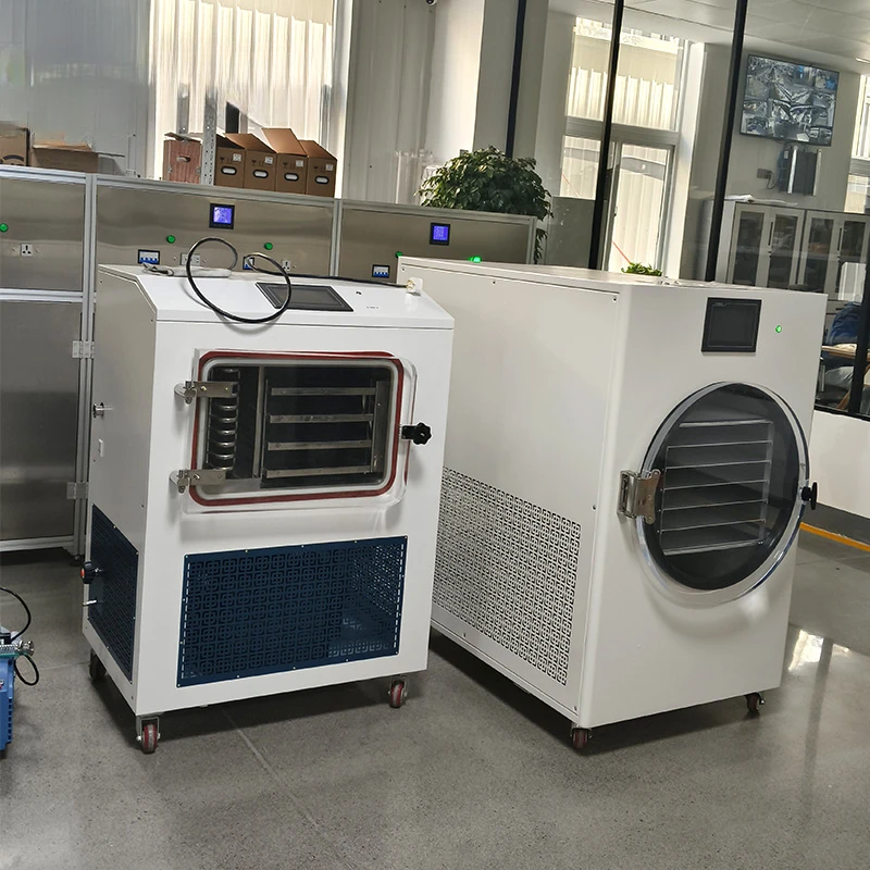 Home Dryer Freeze Mini Vacuum Freezing Drying Machine