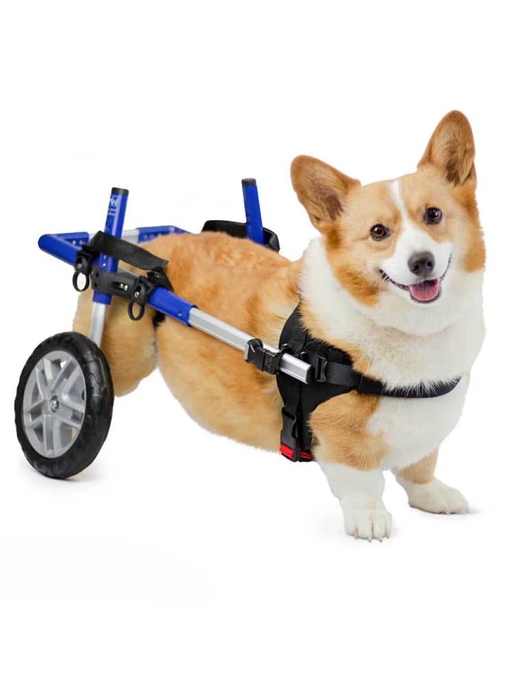 Dog Wheelchair Hindlimb Pet Help Elderly Weakness Bracket Disabled Exercise Paralysis Rehabilitation Cart Corgi