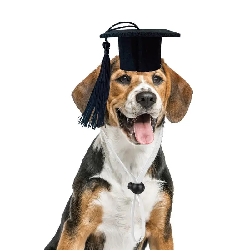 Pet Graduation Caps Mini Cats Dogs Graduation Hat For Photo Props Pet Dogs And Cats Graduation Party Dress