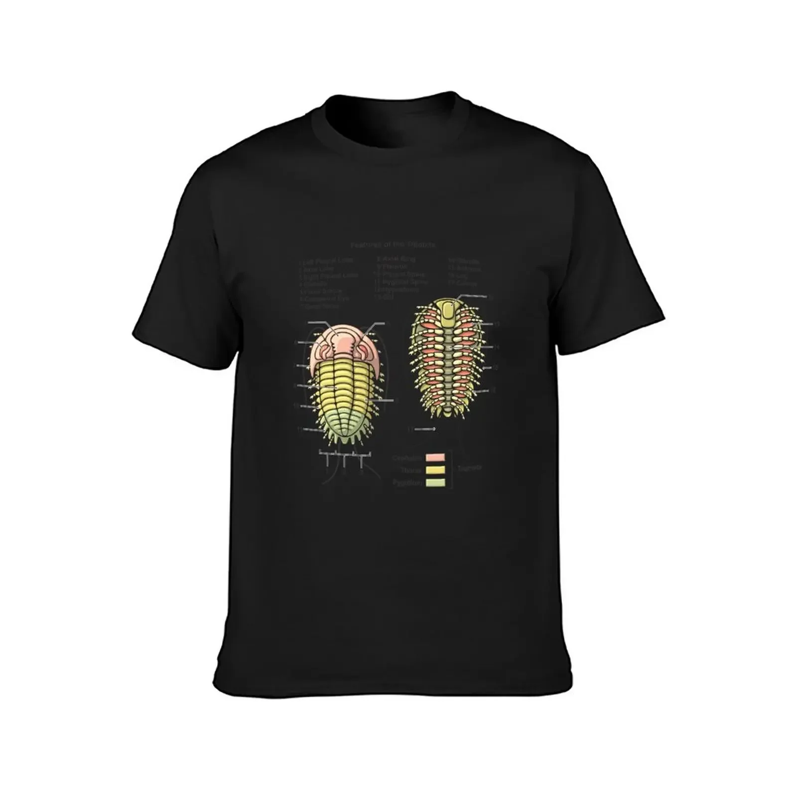 Trilobite Morphology Diagram T-Shirt anime t shirts shirts graphic tees men clothing